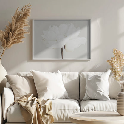 A close-up, slightly off-center photograph of a fully bloomed white peony against a plain, light grey background, presented in a silver brushed metal frame. Artwork