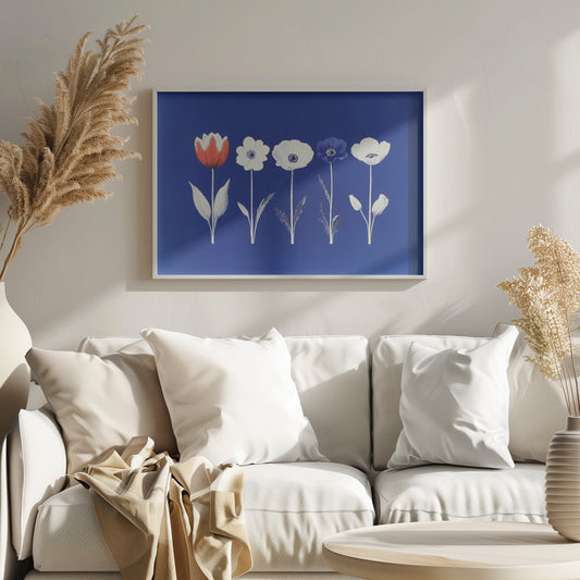 A framed art print showing five flowers in a horizontal line against a vibrant royal blue background. The flowers are illustrated in a graphic style, with one red tulip, one blue anemone, and three white anemones. The stems and leaves are depicted in white and grey tones. The artwork is enclosed in a silver frame. Poster