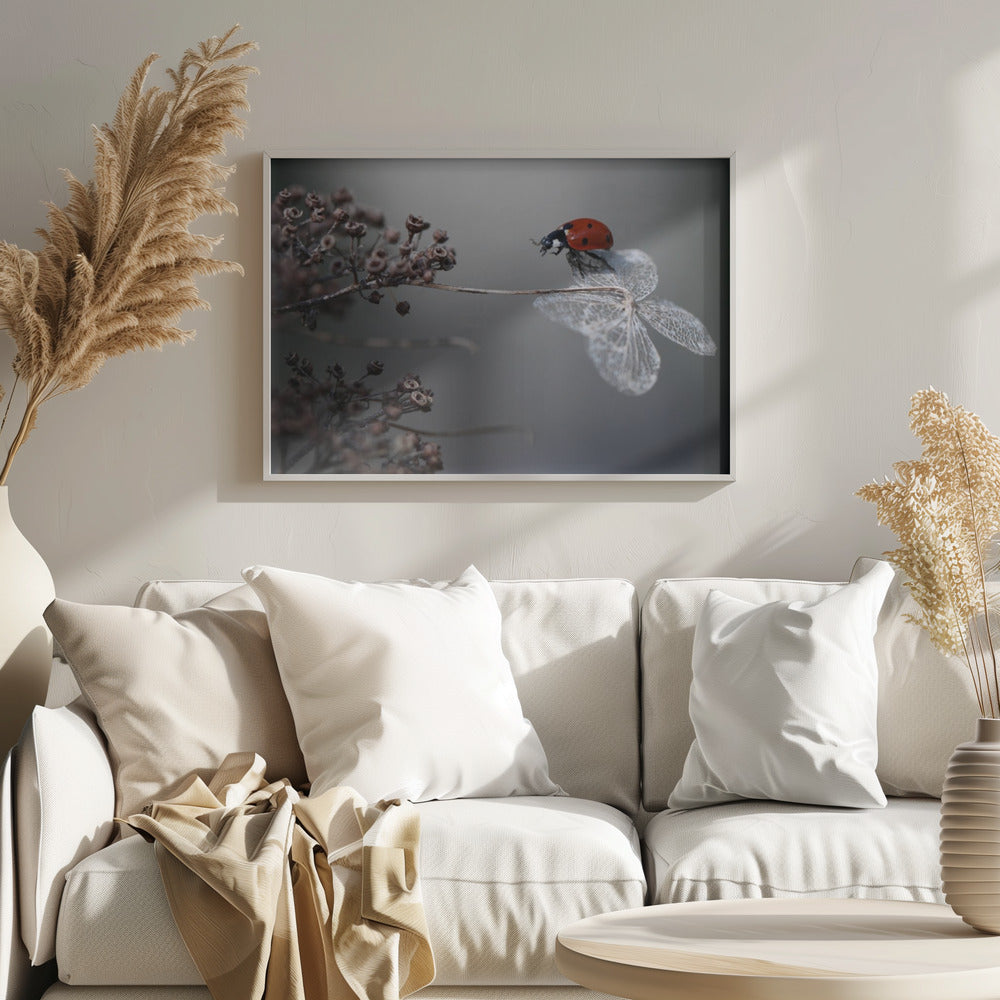 A close-up photograph of a bright red ladybug perched on the delicate, skeletal remains of a dried white flower. The background is a soft, out-of-focus gray, with brown, dried seed pods on a branch to the left. The image is framed with a silver border. Decor