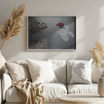 A close-up photograph of a bright red ladybug perched on the delicate, skeletal remains of a dried white flower. The background is a soft, out-of-focus gray, with brown, dried seed pods on a branch to the left. The image is framed with a silver border. Decor