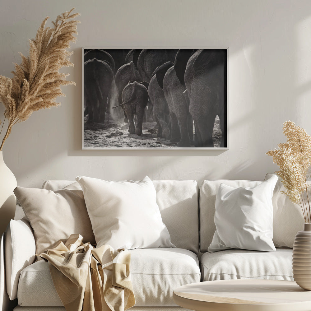 A powerful black and white photograph from a low, rear angle of a herd of elephants walking away. A small baby elephant is centered, protected amongst the larger adults as they kick up dust on the dry ground. Wall Art