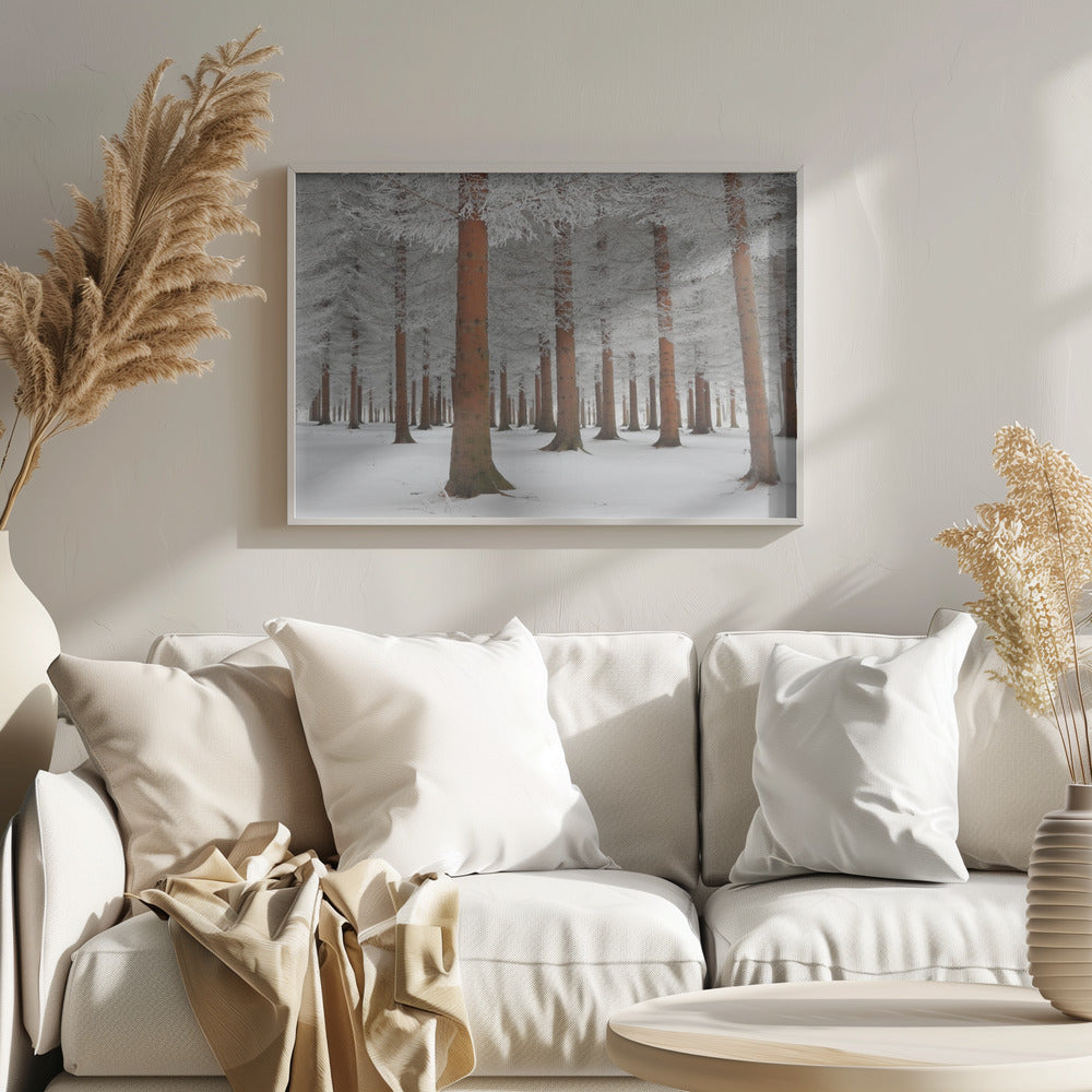 A serene winter forest scene with tall, straight trees whose reddish-brown trunks stand out against the white, snow-covered ground and frost-laden branches, all enclosed in a silver frame. Poster