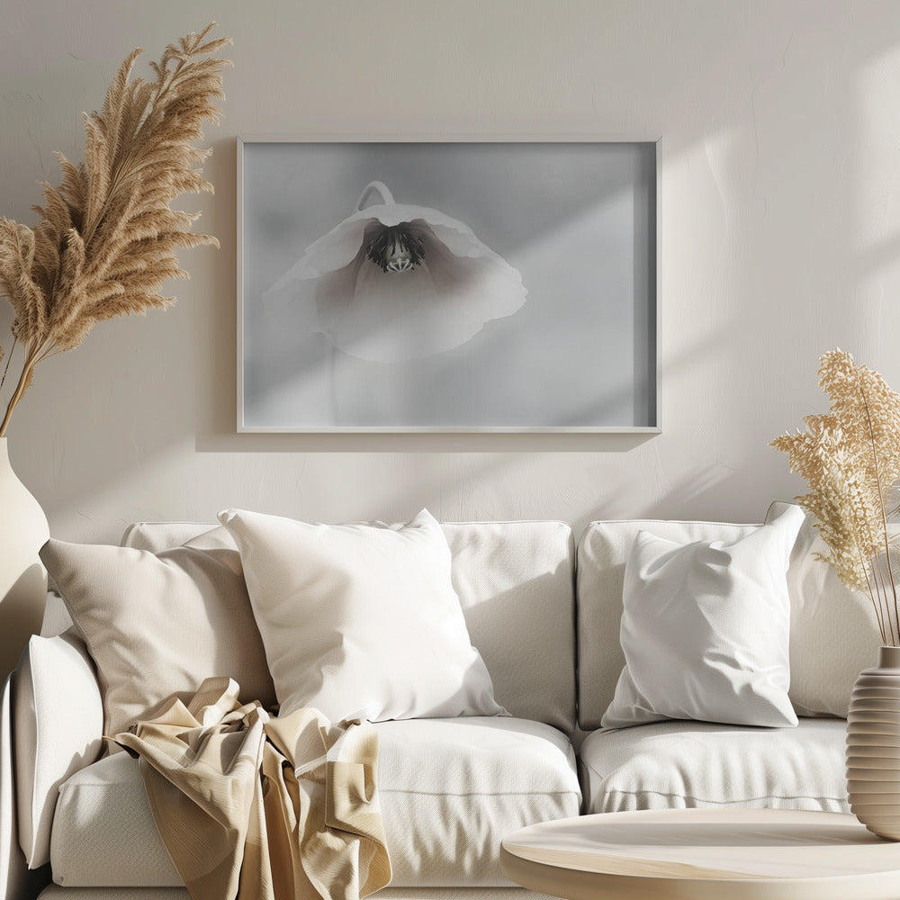 A close-up, soft-focus photograph of a single white poppy flower hanging downwards. The delicate petals are white with a hint of blush, revealing a dark black center. The background is a smooth, light gray, and the entire image is presented in a silver frame. Poster