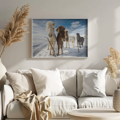 A close-up shot of four Icelandic horses with thick, wind-blown manes standing in a snowy field behind a wire fence. In the background, snow-covered mountains are visible under a bright blue sky with fluffy white clouds. Decor