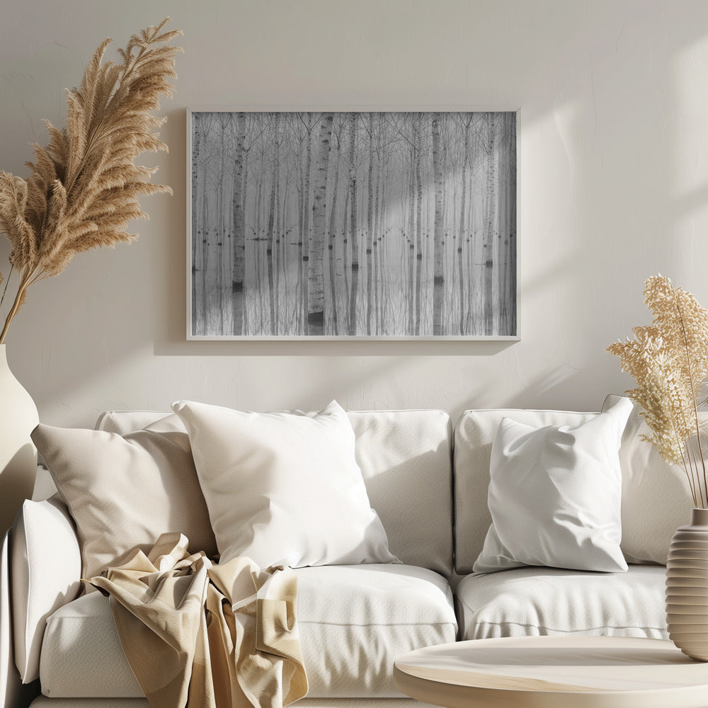 A framed, black and white photograph captures a serene forest of birch trees standing in calm water. The tree trunks are reflected perfectly, creating a striking symmetrical pattern that fades into a misty background. Wall Art