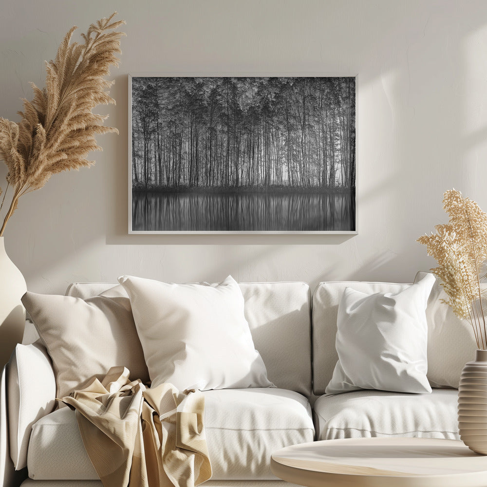 A framed black and white photograph of a dense forest of tall, slender trees reflected perfectly in the calm water below, creating a symmetrical and dramatic landscape. Poster