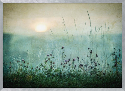 A framed photograph of a misty meadow at sunrise. The soft, pale sun hangs in a hazy, textured sky. In the foreground, tall green grasses and small purple wildflowers are in soft focus, creating a serene and dreamy atmosphere. Decor