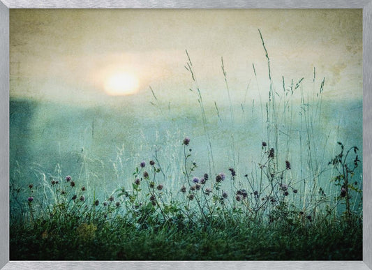 A framed photograph of a misty meadow at sunrise. The soft, pale sun hangs in a hazy, textured sky. In the foreground, tall green grasses and small purple wildflowers are in soft focus, creating a serene and dreamy atmosphere. Decor