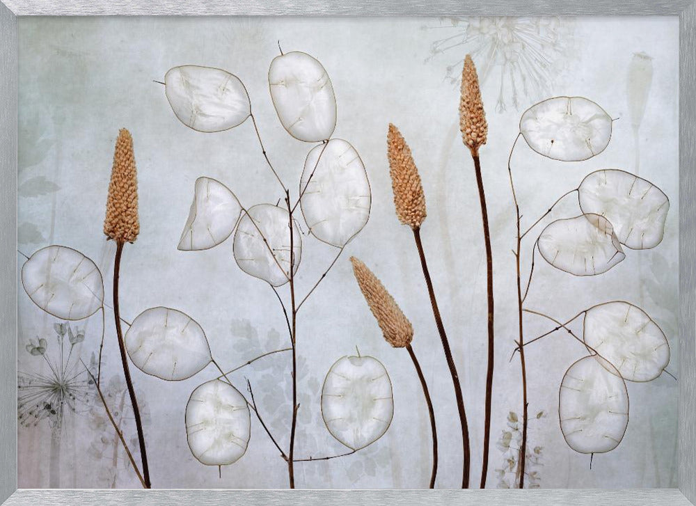 A framed botanical artwork featuring delicate dried stems of silver dollar plants (Lunaria annua) with their translucent white pods, alongside taller brown grasses. The arrangement is set against a muted, pale blue-gray background with faint floral imprints, creating a serene and natural composition. Wall Art