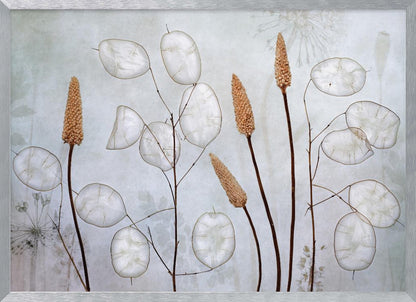 A framed botanical artwork featuring delicate dried stems of silver dollar plants (Lunaria annua) with their translucent white pods, alongside taller brown grasses. The arrangement is set against a muted, pale blue-gray background with faint floral imprints, creating a serene and natural composition. Wall Art