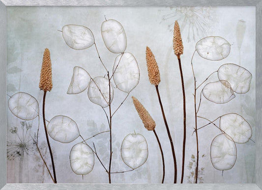 A framed botanical artwork featuring delicate dried stems of silver dollar plants (Lunaria annua) with their translucent white pods, alongside taller brown grasses. The arrangement is set against a muted, pale blue-gray background with faint floral imprints, creating a serene and natural composition. Wall Art