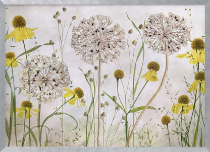 A framed botanical artwork featuring a delicate arrangement of pressed and dried flowers. Large, spherical white allium seed heads stand tall among numerous yellow coneflowers with prominent centers. Slender green stems and leaves fill the composition against a soft, light-textured background, creating a serene, natural scene. Decor