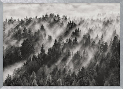A dramatic black and white photograph of a dense hillside forest shrouded in thick fog. Beams of sunlight pierce through the mist, creating strong light rays across the landscape, all enclosed within a silver frame. Artwork