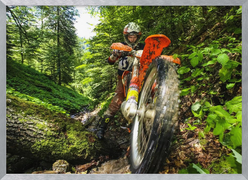 A motocross rider on an orange dirt bike tackles a muddy, wooded trail, maneuvering around a moss-covered log in a lush green forest, seen from a low-angle perspective. Decor