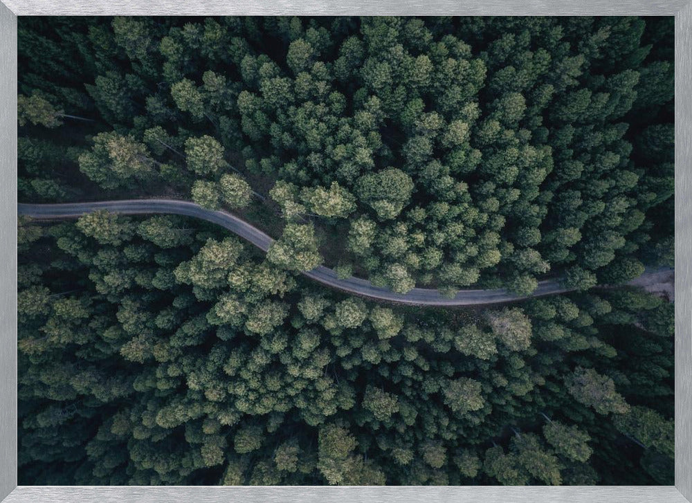 An aerial, top-down photograph of a winding grey road cutting through a vast, dense forest of dark green pine trees, framed in a simple silver border. Decor