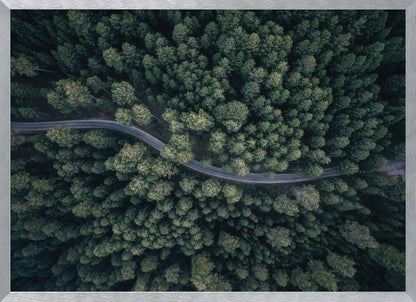 An aerial, top-down photograph of a winding grey road cutting through a vast, dense forest of dark green pine trees, framed in a simple silver border. Decor