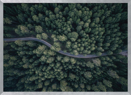 An aerial, top-down photograph of a winding grey road cutting through a vast, dense forest of dark green pine trees, framed in a simple silver border. Decor