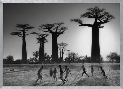 A framed, black and white photograph capturing a vibrant scene of several children playing soccer on a dirt field. In the background, the iconic silhouettes of large Baobab trees stand tall against a bright, hazy sun, casting long shadows of the players across the ground. Artwork