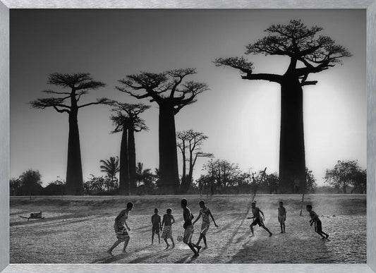 A framed, black and white photograph capturing a vibrant scene of several children playing soccer on a dirt field. In the background, the iconic silhouettes of large Baobab trees stand tall against a bright, hazy sun, casting long shadows of the players across the ground. Artwork