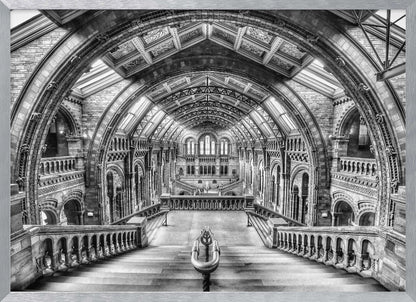 A dramatic black and white photograph of the grand interior of the Natural History Museum in London, taken from the top of the main staircase looking down into the vast Hintze Hall. The symmetrical composition highlights the ornate Romanesque Revival architecture, with its towering stone arches, intricate carvings, and a high, vaulted ceiling with skylights. Artwork