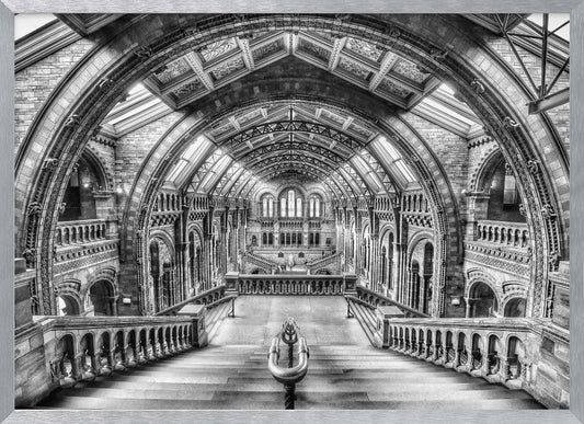 A dramatic black and white photograph of the grand interior of the Natural History Museum in London, taken from the top of the main staircase looking down into the vast Hintze Hall. The symmetrical composition highlights the ornate Romanesque Revival architecture, with its towering stone arches, intricate carvings, and a high, vaulted ceiling with skylights. Artwork