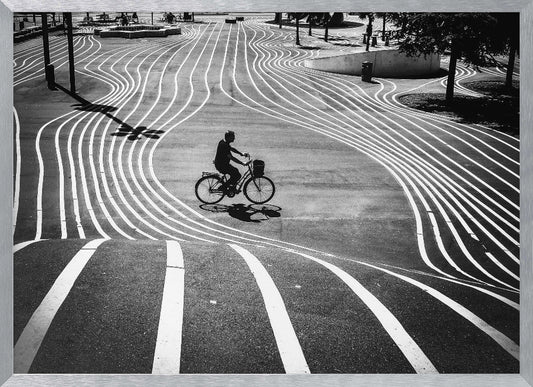 A high-contrast, black and white overhead photograph of a person riding a bicycle across a wide, paved plaza. The ground is covered in a mesmerizing pattern of wavy, parallel white lines, and the cyclist's long shadow is cast by the bright sun. Print