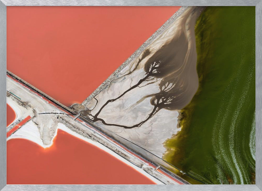 An abstract aerial photograph in a silver frame, showing a stark landscape divided into sections of coral-red water, green water, and a white salt flat with dark, tree-like river patterns. Print