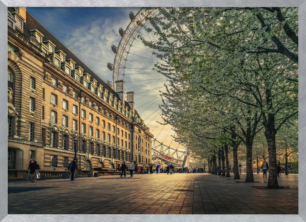 A scenic view of London's South Bank at sunset, with the London Eye visible in the background, a grand historic building on the left, and a row of white blossoming trees lining the sunlit promenade on the right. Wall Art