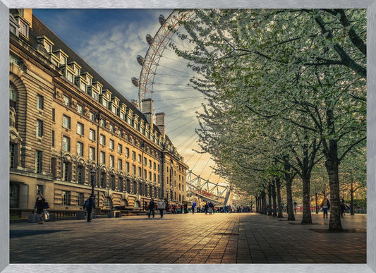 A scenic view of London's South Bank at sunset, with the London Eye visible in the background, a grand historic building on the left, and a row of white blossoming trees lining the sunlit promenade on the right. Wall Art