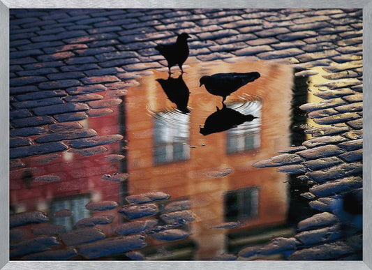 An artistic photograph of two silhouetted birds standing in a puddle on a wet cobblestone street. The puddle reflects an orange building with windows, and the birds' own reflections are visible beneath them, creating ripples in the water. The image is presented in a silver frame. Decor