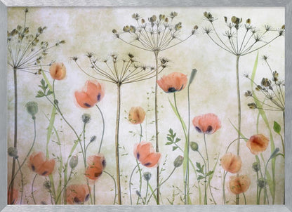 A delicate botanical artwork in a silver frame, featuring translucent orange poppies and the skeletal forms of dried Queen Anne's lace against a soft, textured cream background, creating a dreamy, ethereal meadow scene. Decor