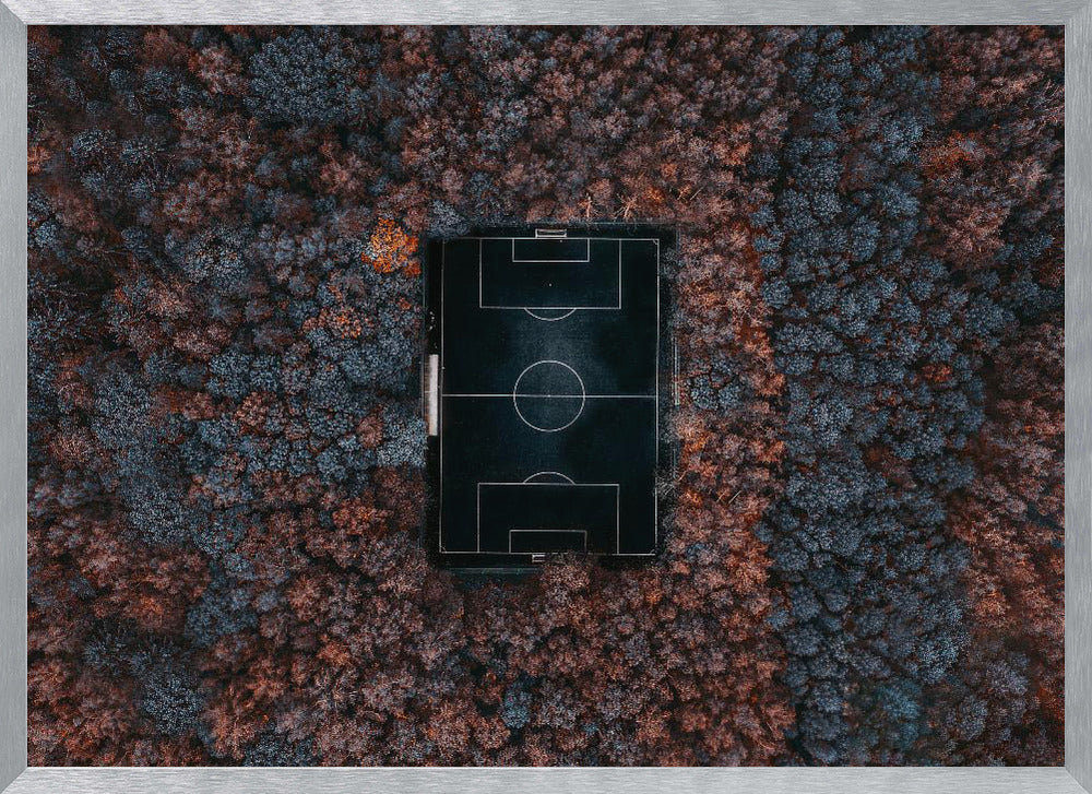 An aerial top-down photograph of a stark black soccer field with white markings, dramatically set in the middle of a dense, colorful forest with blue and rust-colored trees, all enclosed within a silver frame. Wall Art