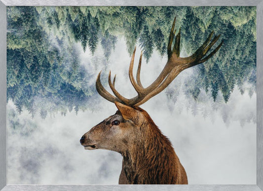 A surreal double-exposure style image featuring the profile of a brown stag with large antlers. The top half of the image is an inverted green pine forest that blends into a foggy, light grey background surrounding the deer. The entire artwork is presented within a silver frame. Poster