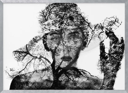 A surreal black and white double exposure artwork in a silver frame. The image combines a close-up portrait of a person's face with the intricate silhouette of bare, branching trees against a white background, creating a complex and thought-provoking visual. Poster