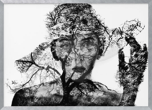 A surreal black and white double exposure artwork in a silver frame. The image combines a close-up portrait of a person's face with the intricate silhouette of bare, branching trees against a white background, creating a complex and thought-provoking visual. Poster