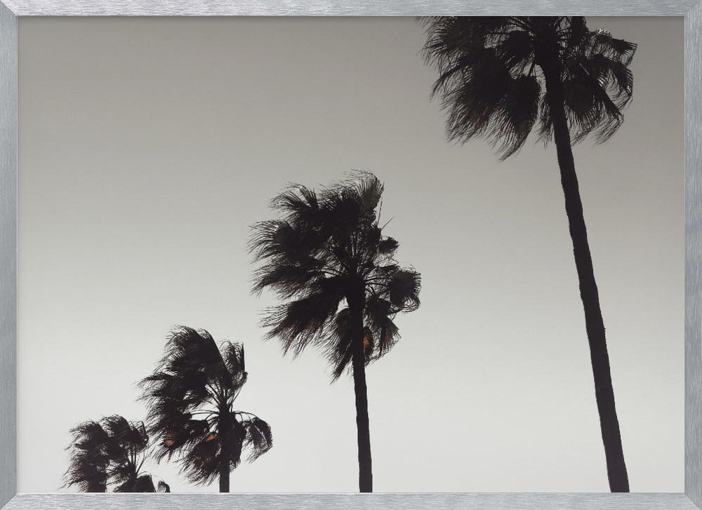 A framed black and white photograph of four silhouetted palm trees of increasing height, arranged diagonally against a plain, light grey sky. The palm fronds are blurred, suggesting they are blowing in the wind. Decor