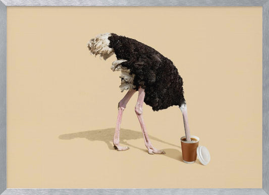 A humorous and surreal image of a black and white ostrich with its head buried inside a disposable coffee cup, set against a plain beige background and enclosed in a silver frame. Decor