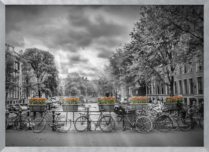 A selective color, black and white photograph of a classic Amsterdam canal scene, enclosed in a silver frame. The foreground shows a bridge lined with numerous bicycles and planters filled with vibrant orange tulips, which are the only colored elements. The background features canal houses, trees, and another bridge under a dramatic, cloudy sky with sunbeams. Print