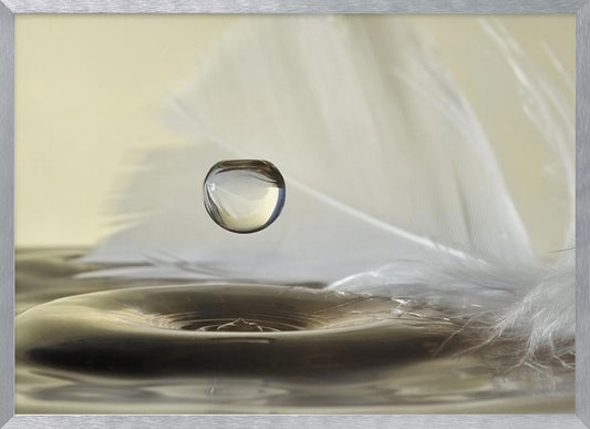 A high-speed macro photograph captures a perfectly spherical water droplet suspended in mid-air above a ripple on the water's surface. A soft white feather lies in the background, creating a serene and delicate composition with a neutral color palette, all enclosed in a brushed silver frame. Wall Art