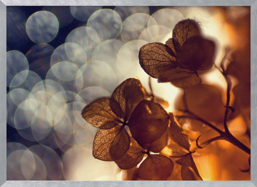A beautiful light depicted on a poster or art print, suitable for home decor. Print