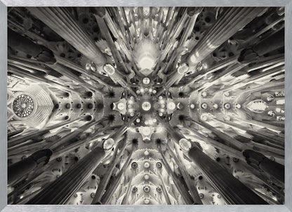 A framed black and white photograph captures the breathtaking, symmetrical ceiling of Gaudí's Sagrada Familia basilica, viewed directly from below. The massive columns rise and branch out like a forest canopy, creating a complex and mesmerizing architectural pattern of vaults, ribs, and skylights. Artwork