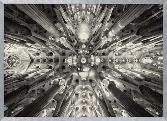 A framed black and white photograph captures the breathtaking, symmetrical ceiling of Gaudí's Sagrada Familia basilica, viewed directly from below. The massive columns rise and branch out like a forest canopy, creating a complex and mesmerizing architectural pattern of vaults, ribs, and skylights. Artwork