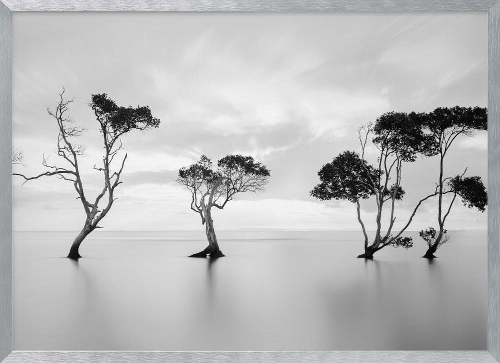 A serene black and white long-exposure photograph of several trees standing in still, calm water. The water is perfectly smooth, reflecting the dark silhouettes of the trees. A soft, cloudy sky hangs overhead, creating a minimalist and tranquil landscape scene, all enclosed in a silver frame. Decor