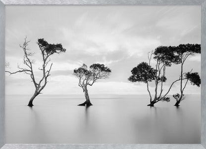 A serene black and white long-exposure photograph of several trees standing in still, calm water. The water is perfectly smooth, reflecting the dark silhouettes of the trees. A soft, cloudy sky hangs overhead, creating a minimalist and tranquil landscape scene, all enclosed in a silver frame. Decor