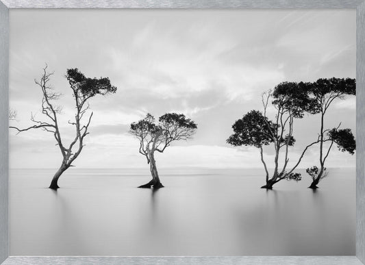 A serene black and white long-exposure photograph of several trees standing in still, calm water. The water is perfectly smooth, reflecting the dark silhouettes of the trees. A soft, cloudy sky hangs overhead, creating a minimalist and tranquil landscape scene, all enclosed in a silver frame. Decor