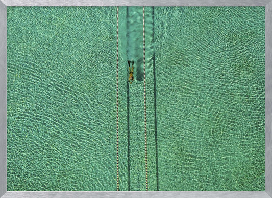 An aerial, top-down photograph of a lone swimmer in a lap lane of a large, turquoise-colored swimming pool. The water ripples from the sunlight, and the image is presented in a simple silver frame. Artwork