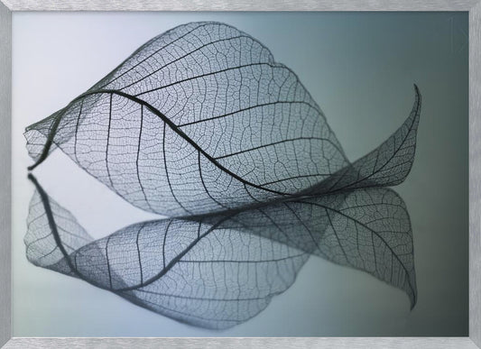 A close-up, macro photograph of a delicate skeleton leaf with intricate veins. The leaf is curled and resting on a reflective surface, creating a mirror image below it. The background is a soft, cool gradient from light blue to a darker muted teal. The image is presented within a brushed silver frame. Artwork