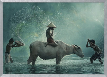 A serene photograph of three young boys playing in a river with a large water buffalo, one boy sits atop the animal while the others splash water, all set against a misty green backdrop and framed in silver. Print