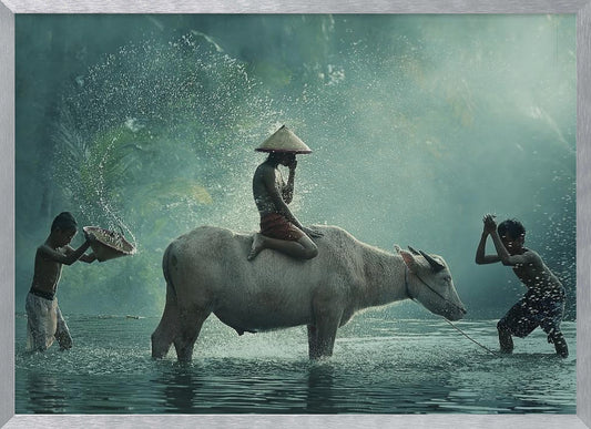 A serene photograph of three young boys playing in a river with a large water buffalo, one boy sits atop the animal while the others splash water, all set against a misty green backdrop and framed in silver. Print