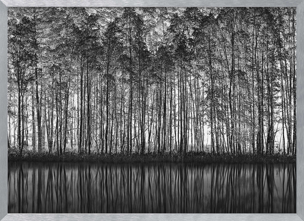 A framed black and white photograph of a dense forest of tall, slender trees reflected perfectly in the calm water below, creating a symmetrical and dramatic landscape. Poster